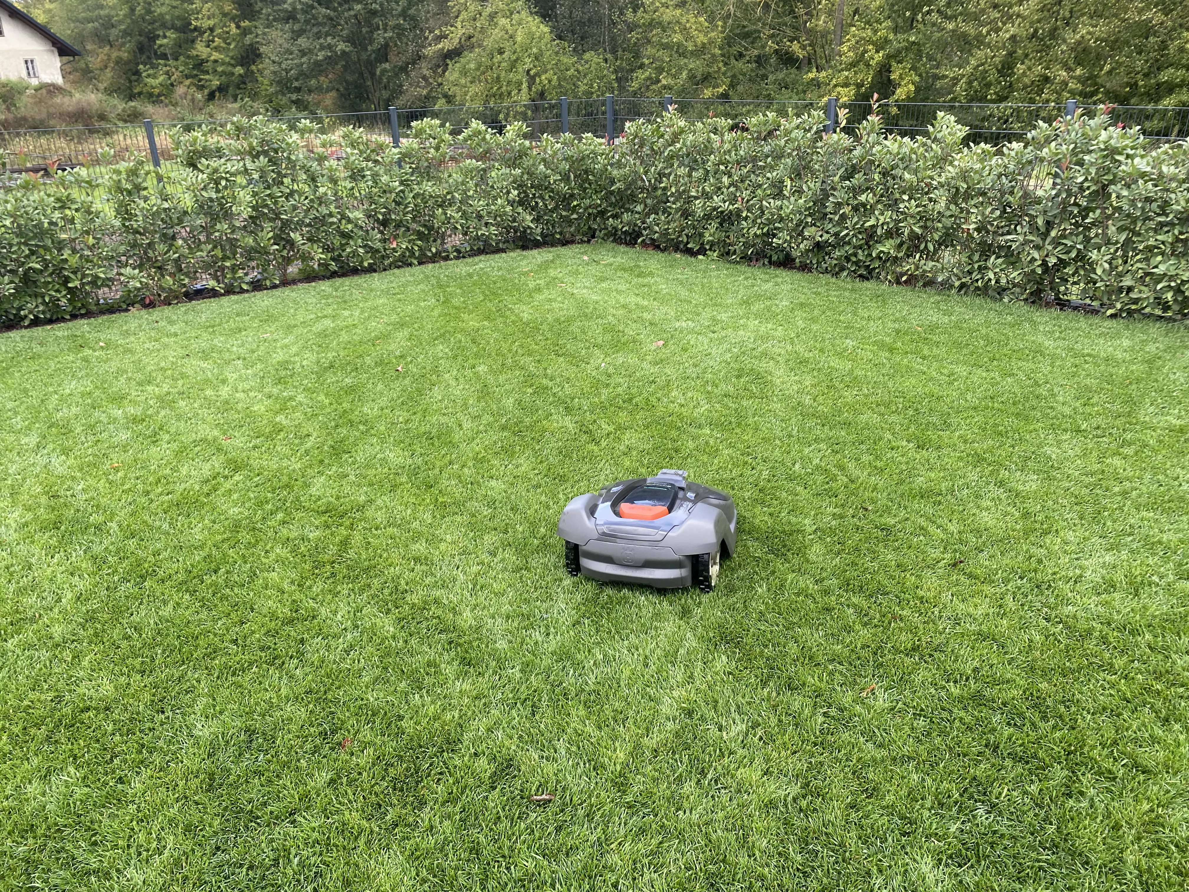 Intelligentes Husqvarna Automähen für komplexe, große Rasenflächen bis zu 3200 m² in Wien Bestellen volskyi-garden.at