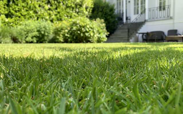 Gartenplanung in Wien und Niederösterreich